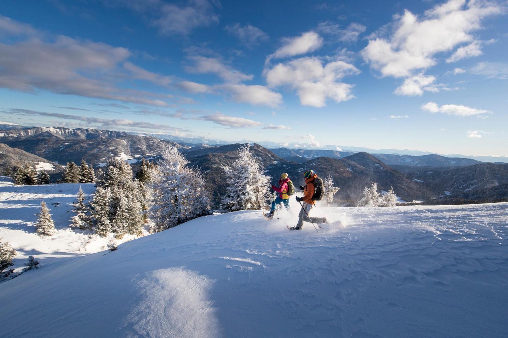 Kreischberg By Alps Appartamento Sankt Lorenzen ob Murau