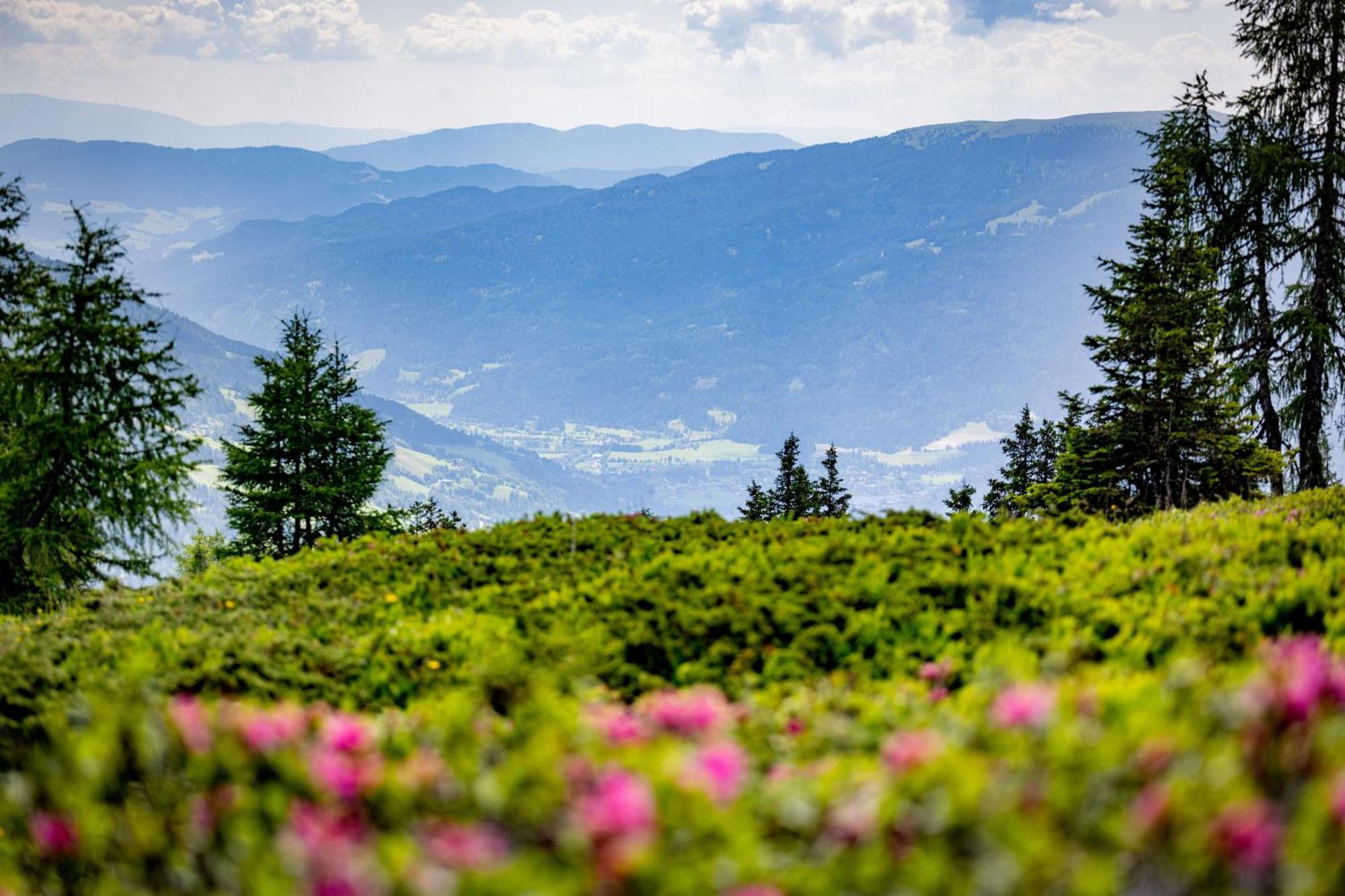 Appartamento Kreischberg By Alps