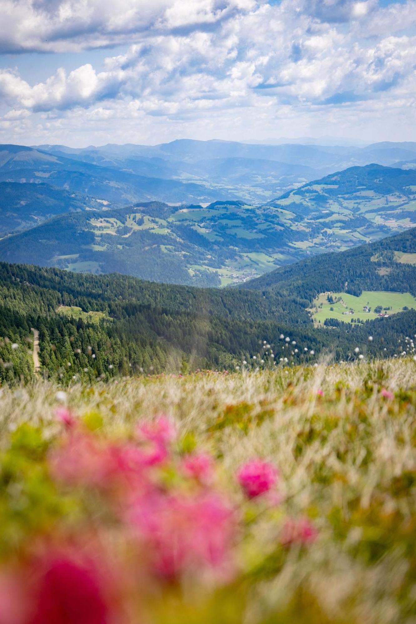 Kreischberg By Alps Appartement